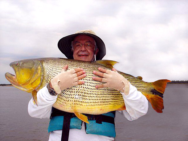 Dorado Angler Testimonial