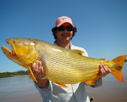 Pesca de Dourados