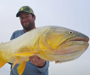 Pesca de Dourados