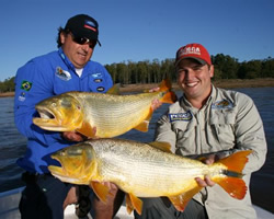 Pesca de Dourados