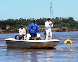 Pesca de Dourados