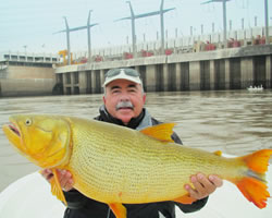 Pesca de Dourados