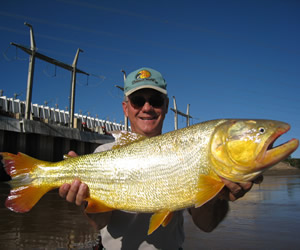 Pesca de Dourados