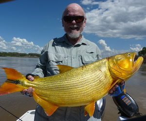 dorado fly fishing