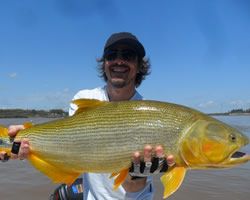 Pesca de Dourados