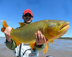 Pesca de Dourados