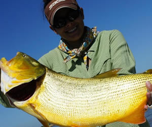 Pesca de Dourado