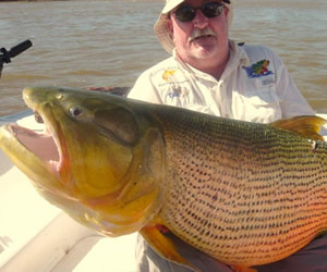 Pesca de Dourado