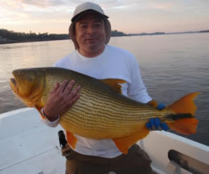 Pesca de Dourado