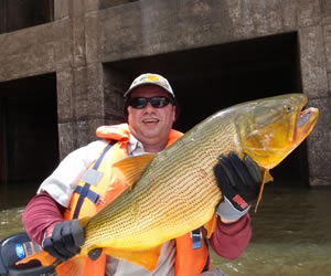 Pesca de Dourado