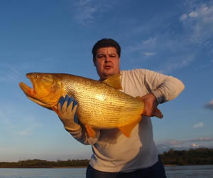 Pesca de Dourado