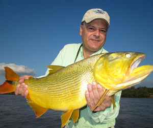 dorado fishing