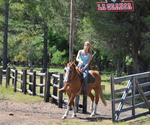 Passeios a cavalo