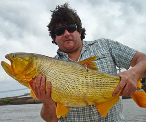 Pesca de Dourado