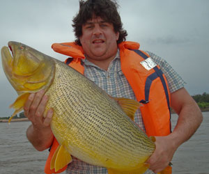 Pesca de Dourado