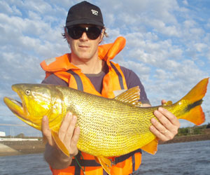 Pesca de Dourado