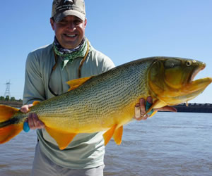 Pesca de Dourado