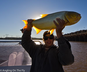 Pesca de Dourados