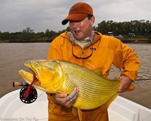 Pesca de Dourados