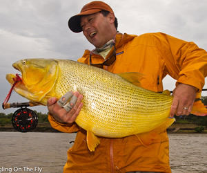 Pesca de Dourados