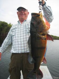 brazil-amazon-peacock-bass-fishing-gallery-13