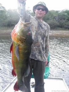 brazil-amazon-peacock-bass-fishing-gallery-14