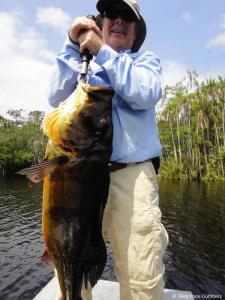 brazil-amazon-peacock-bass-fishing-gallery-16