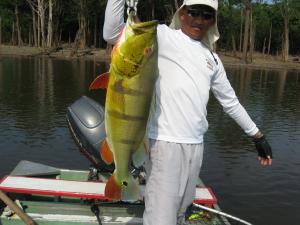 brazil-amazon-peacock-bass-fishing-gallery-23