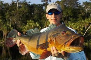 brazil-amazon-peacock-bass-fishing-gallery-6